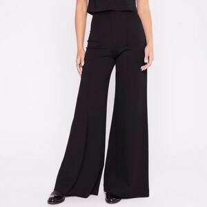 Chic Black Wide Leg pants